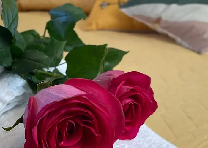 La Rosa Aparthotel 4*